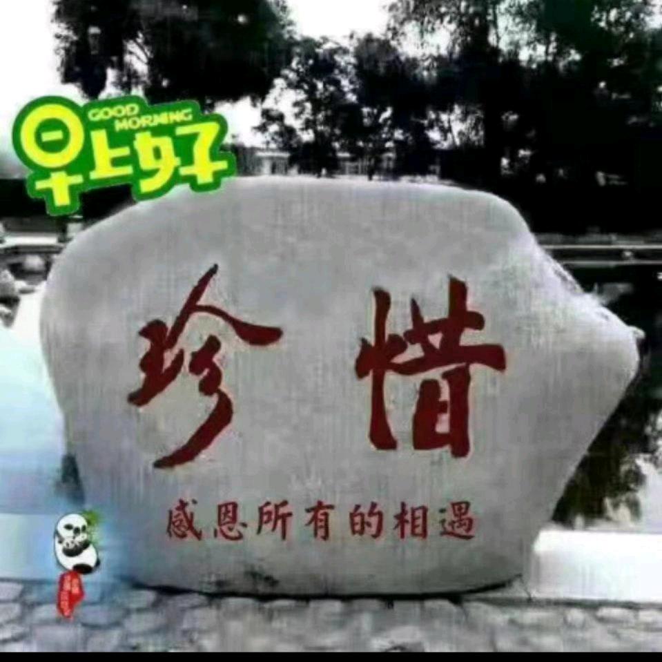 酒神小蜜蜂