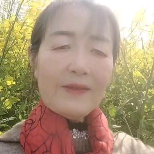 玉兰