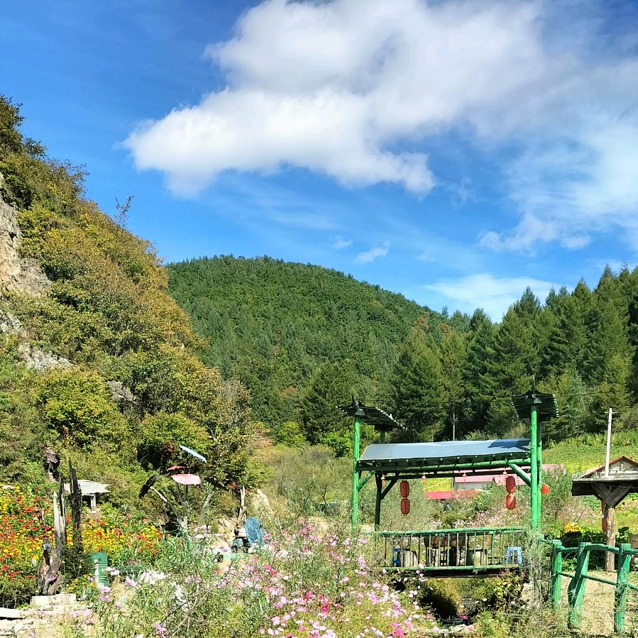 🇨🇳柳毛河经营所