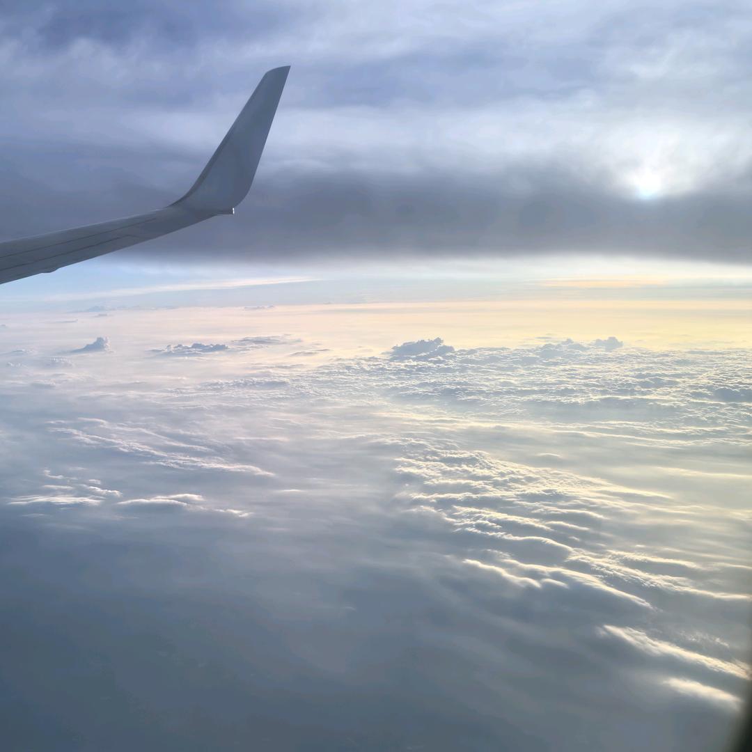 上海敏军木业有限公司