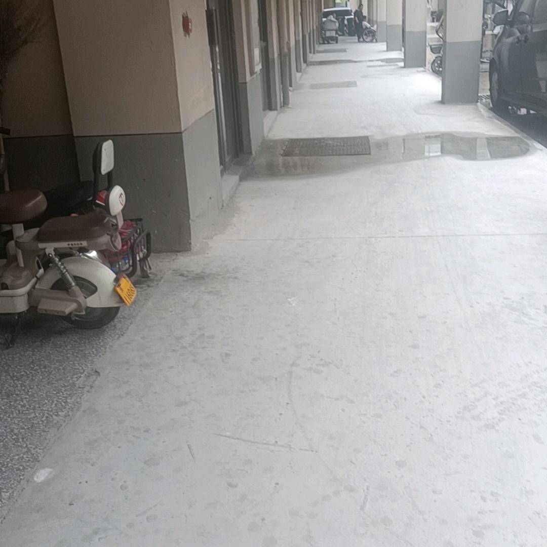 毛骗岳阳