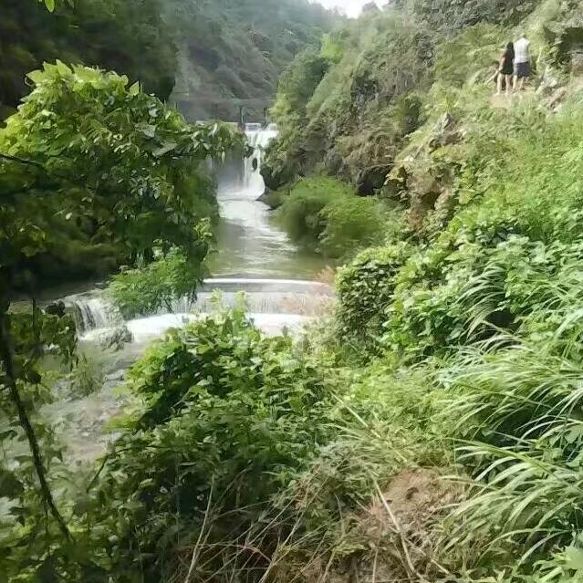 随风
