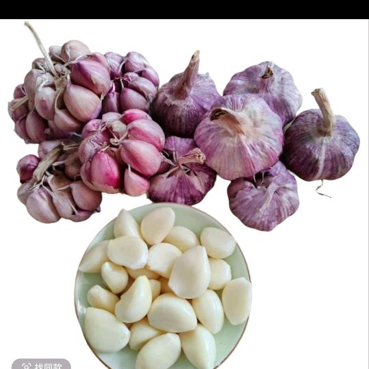新鲜现挖大蒜