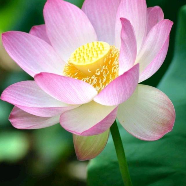 🌺এ᭄²⁰25໑多财多亿ღ᭄