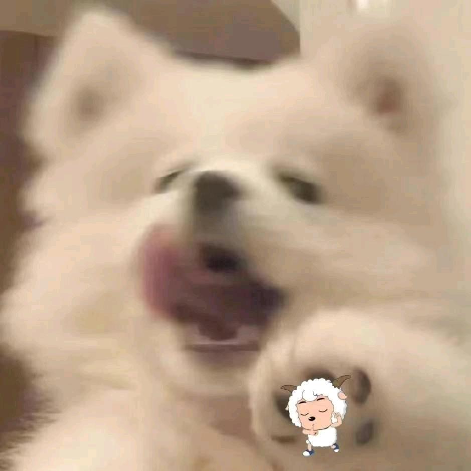 幸福的小美美
