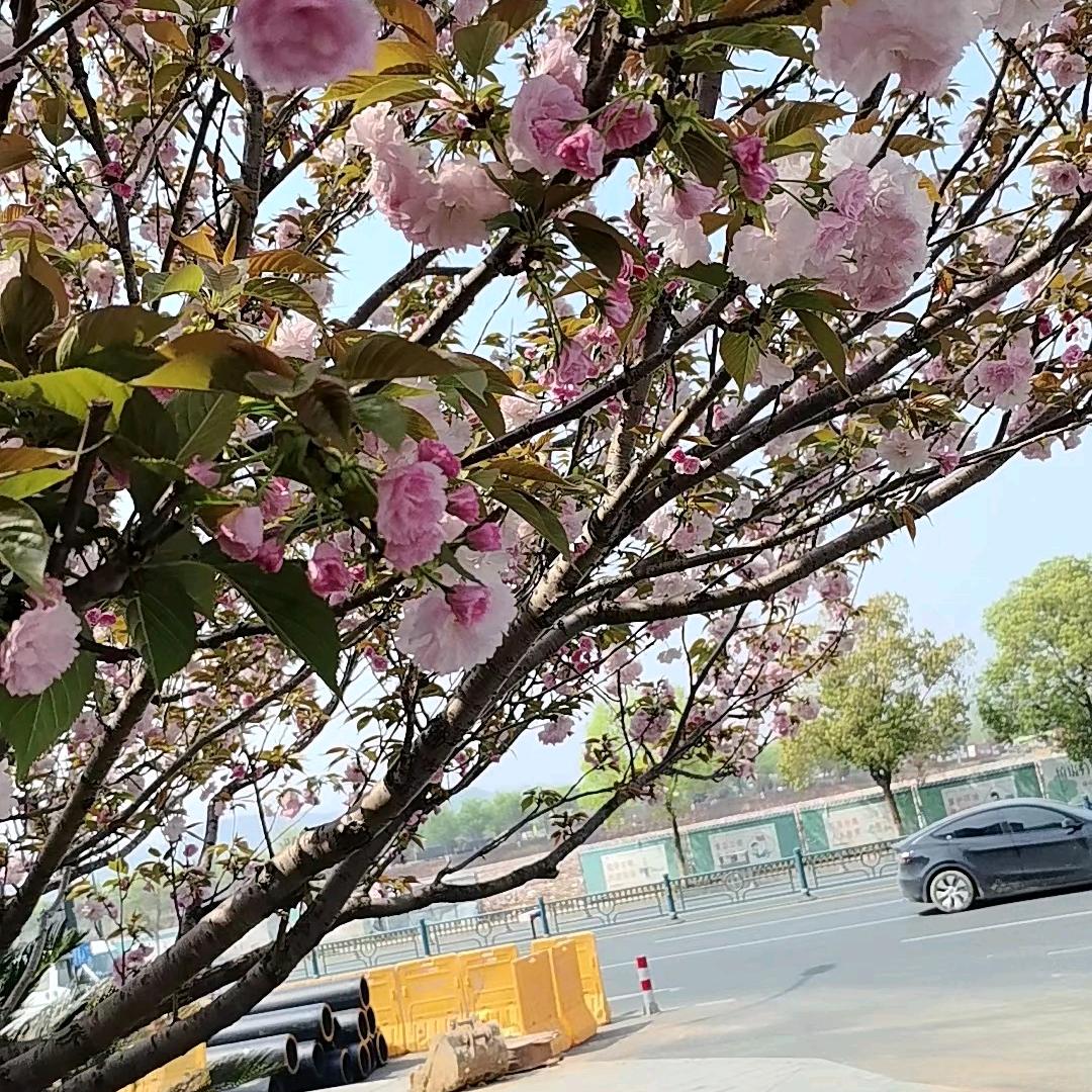 一个人挺好的