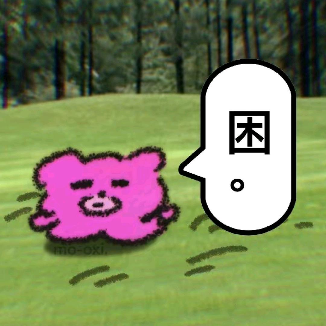 秋秋秋🐑