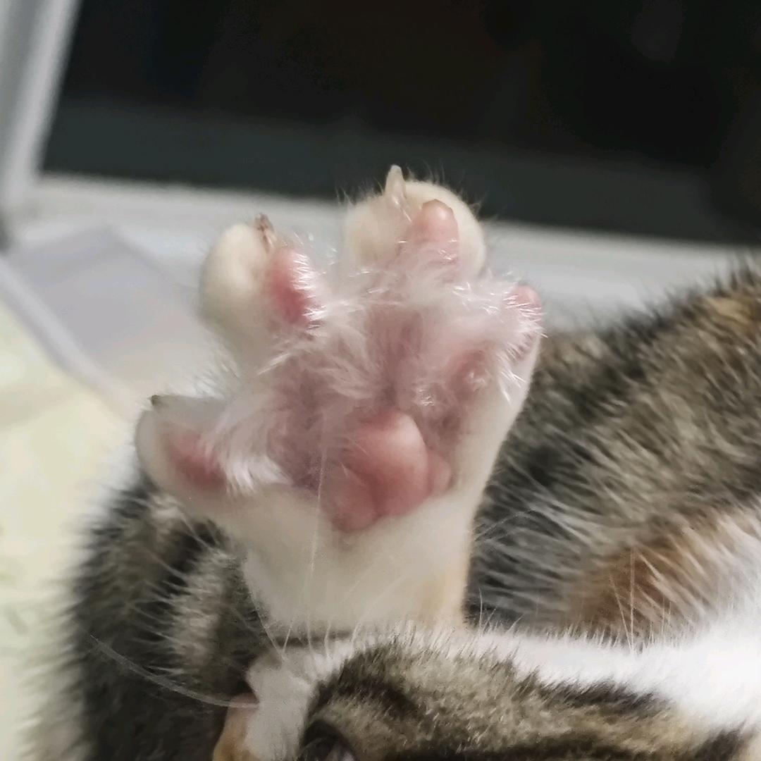 十三。