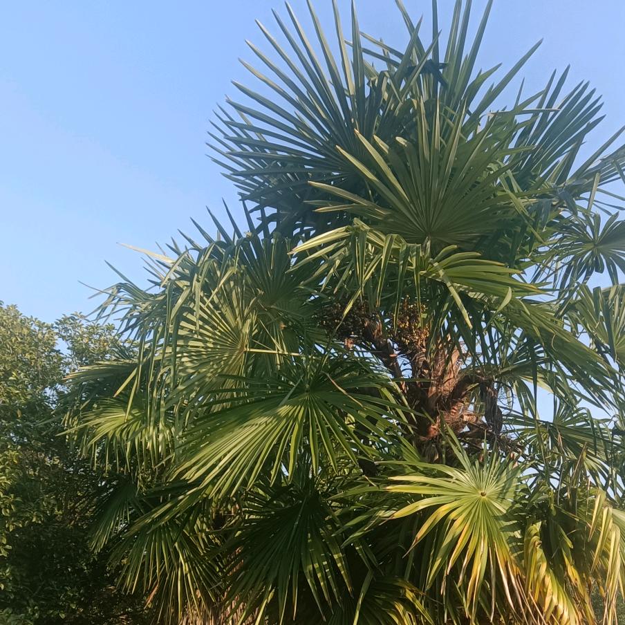 化工材料一站式服务商