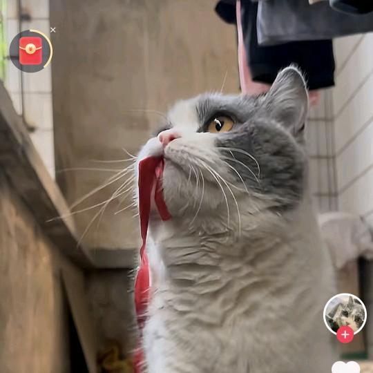 清风安家