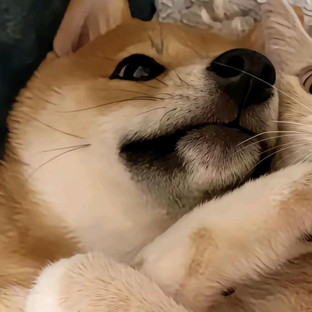 祁时