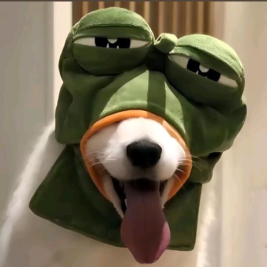 俺的牛牛有金刚钻