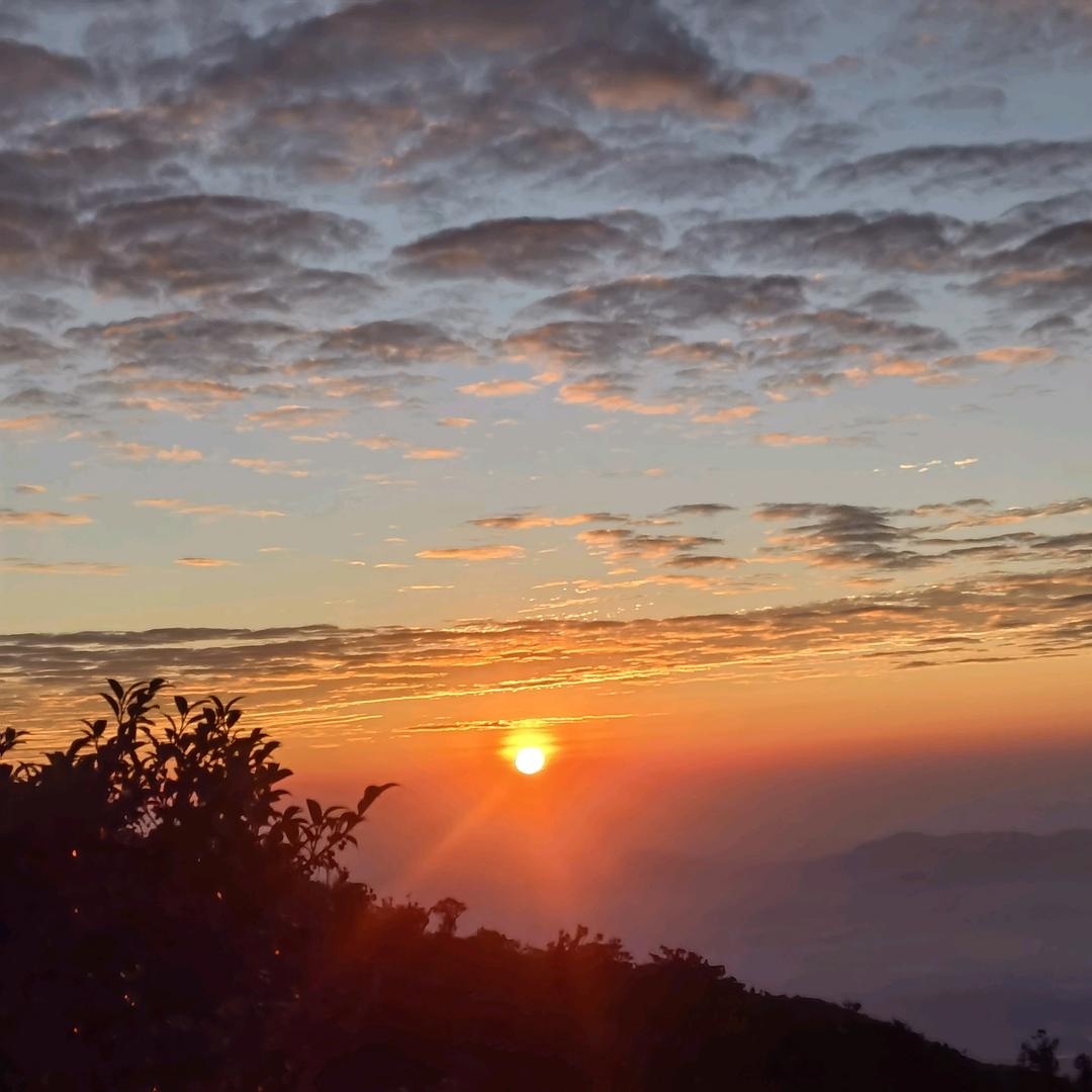 傻૮₍♡♡₎ა丫头