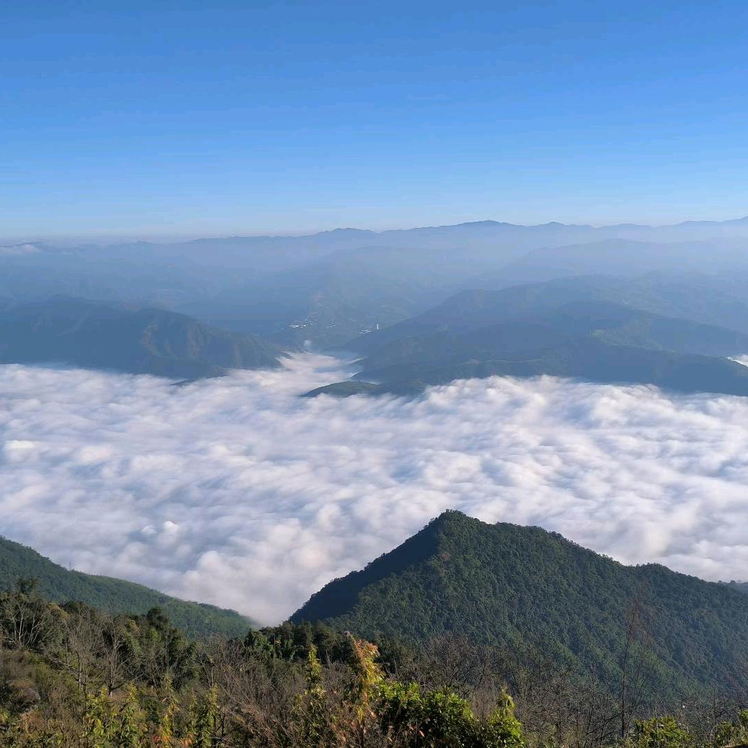 袁李三冬暖