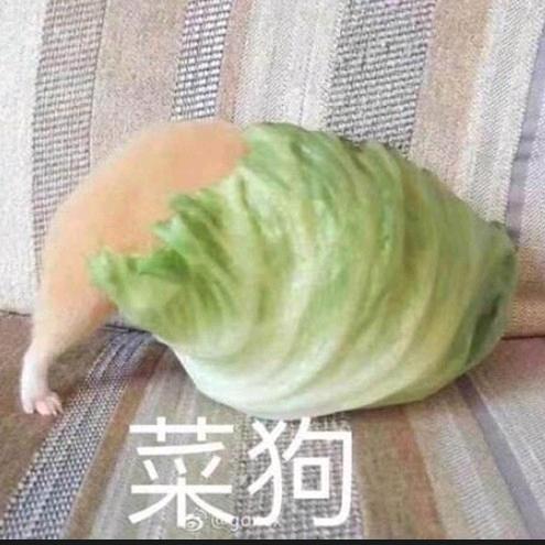 熊九东