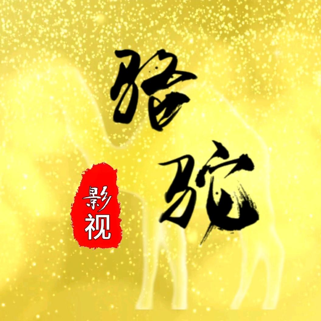 骆驼影视