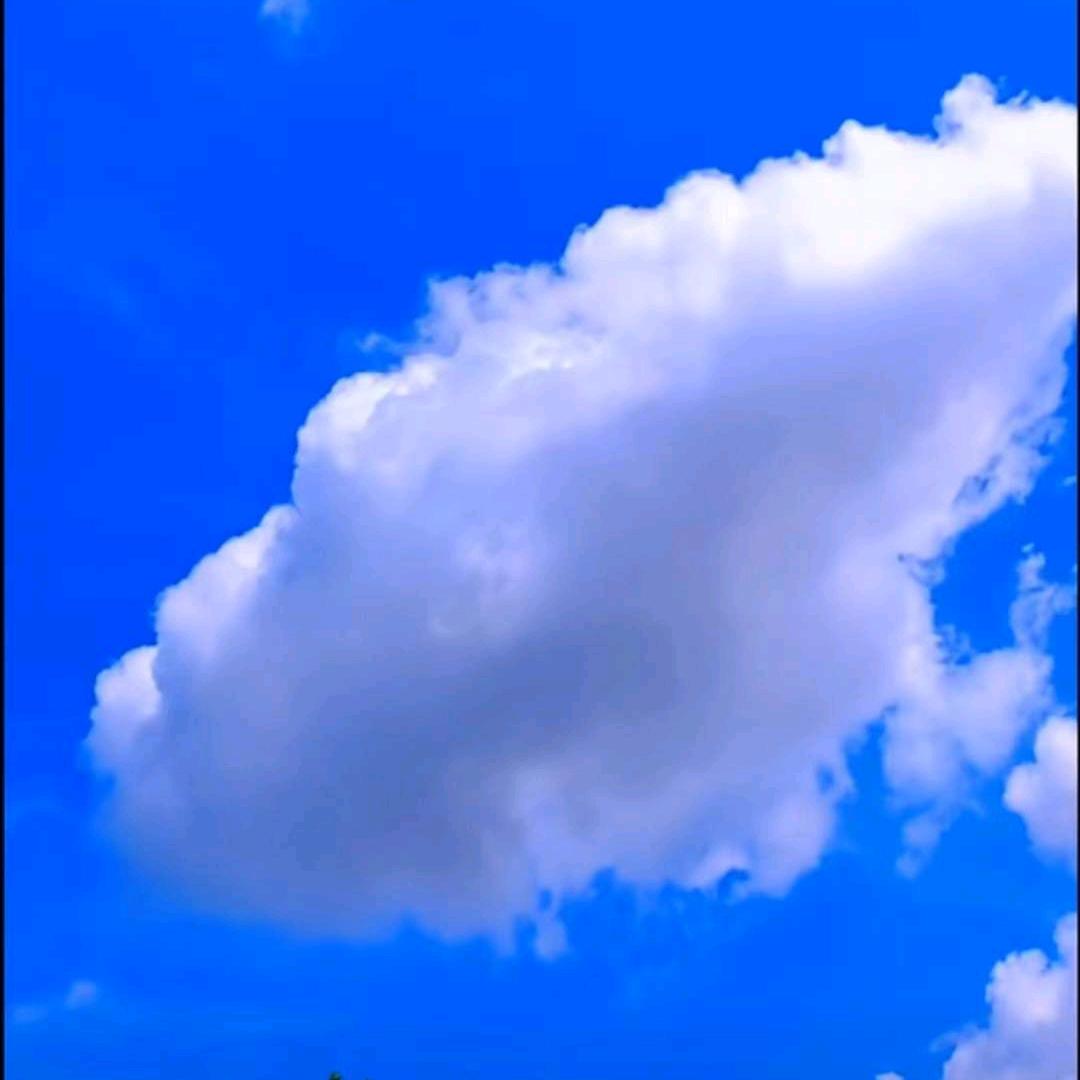 何琪