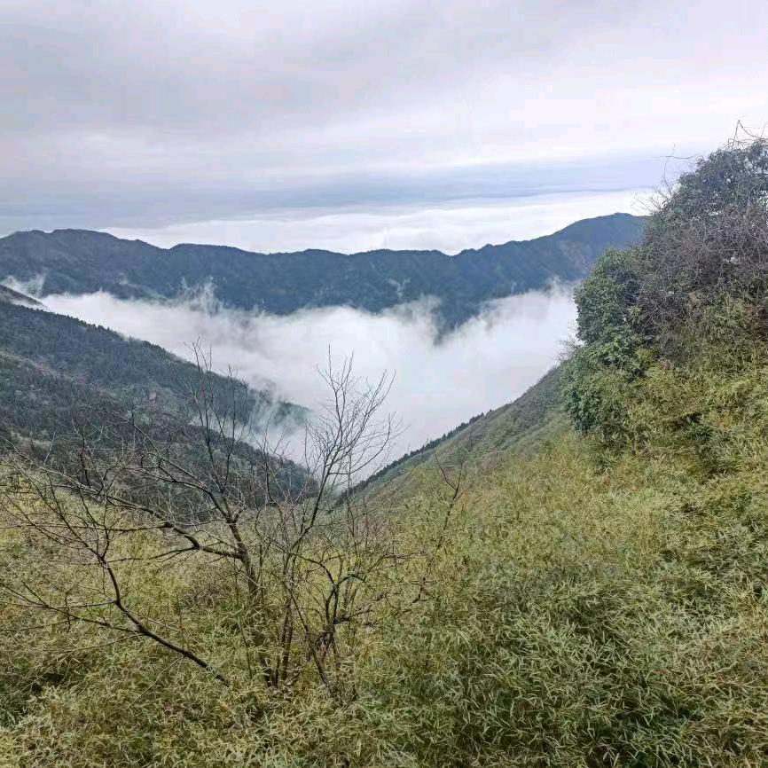 無雙争霸