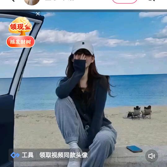 岁岁长相见