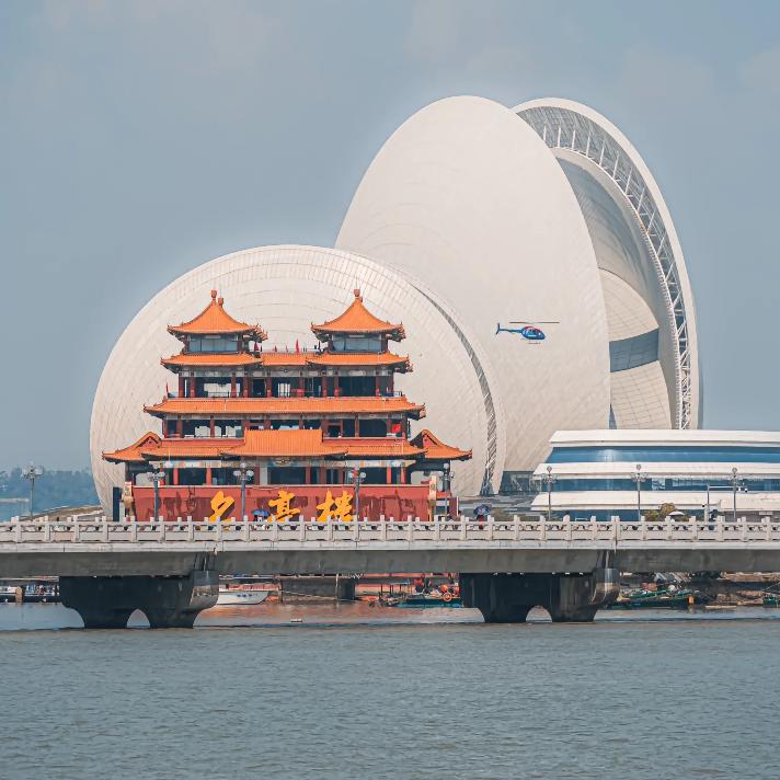 呆 呆