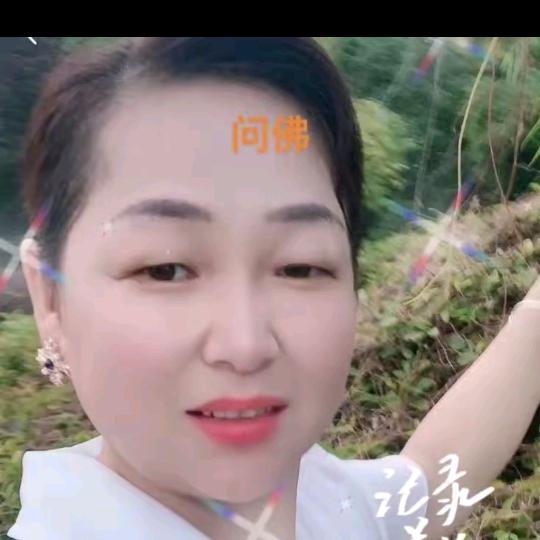 珍菊爱音乐
