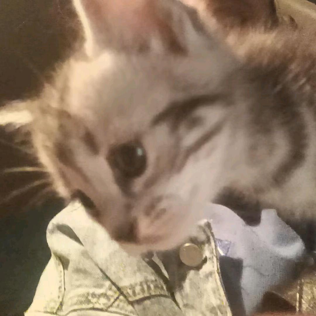 最熟悉的陌生人