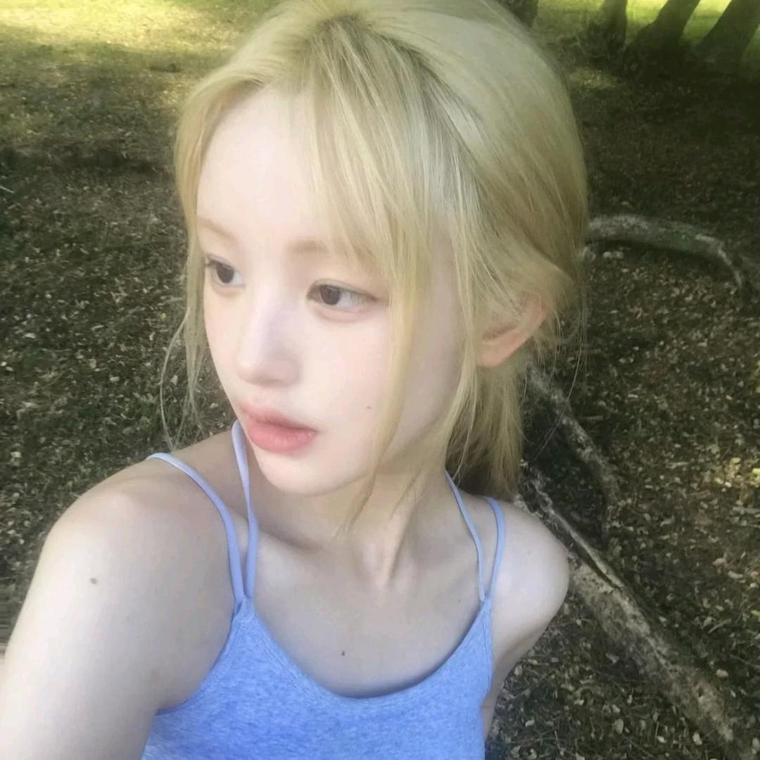 不想做笨蛋只想成为天才