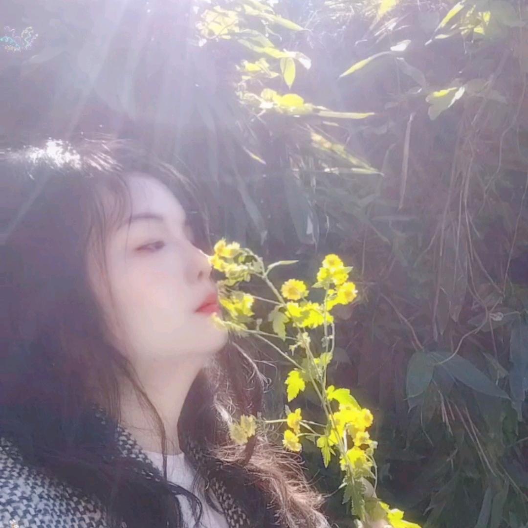 文暖暖
