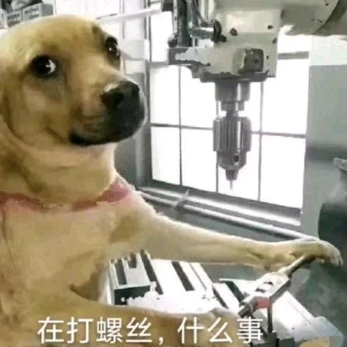 葵 花🌻