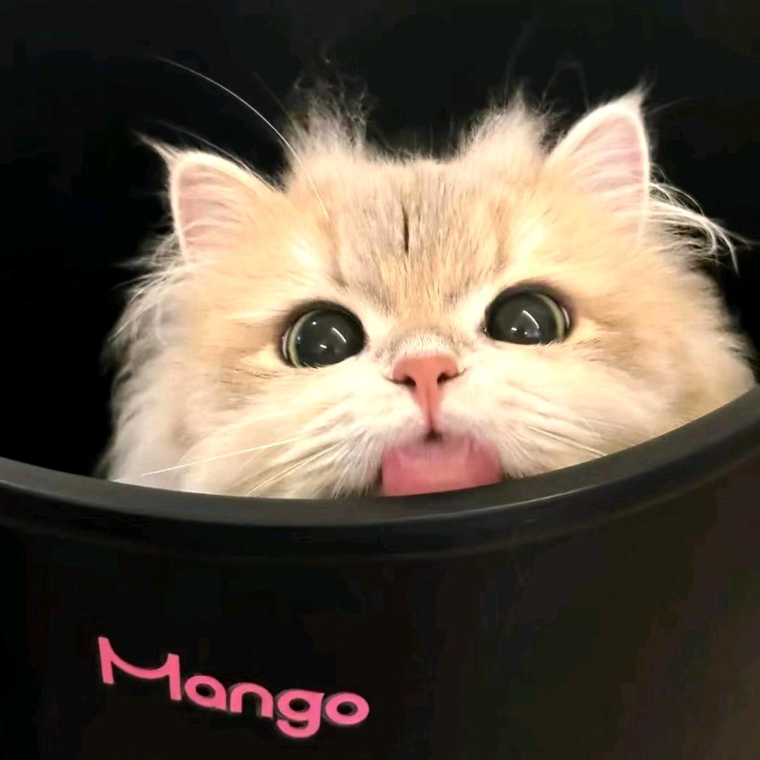 林一。