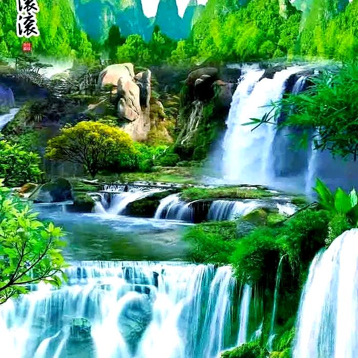 兰花花🌸