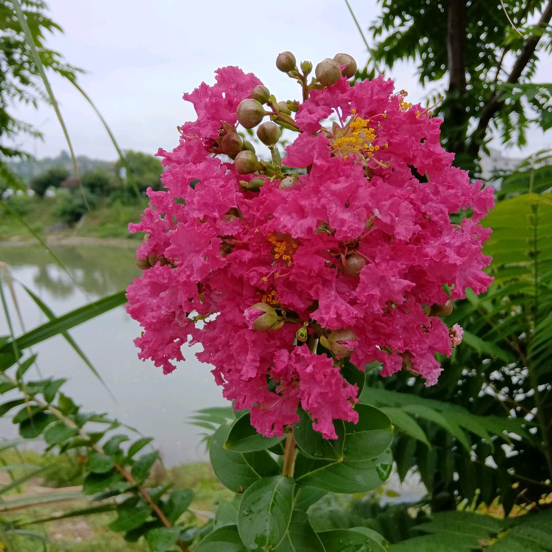 ໑ຼₒ₂₃ღ吕途有李🦋꧔ꦿ᭄💞
