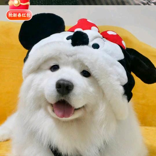 濮阳惠多多