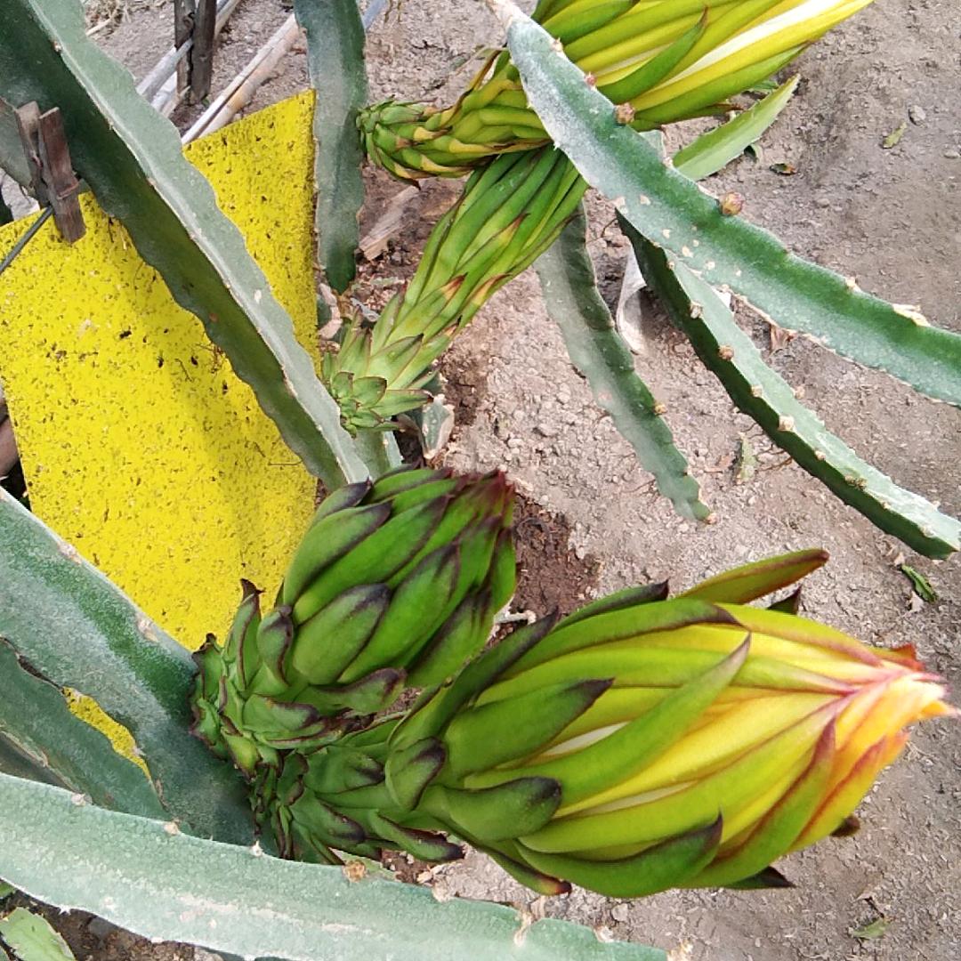 全家幸福穷开心