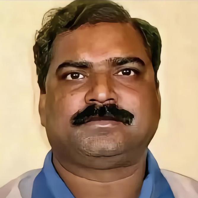 北海的菊花开了