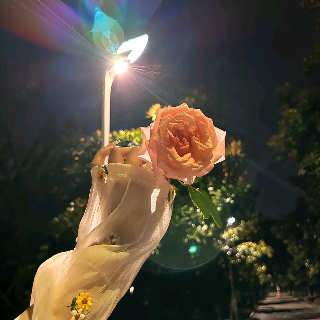 疆小鱼
