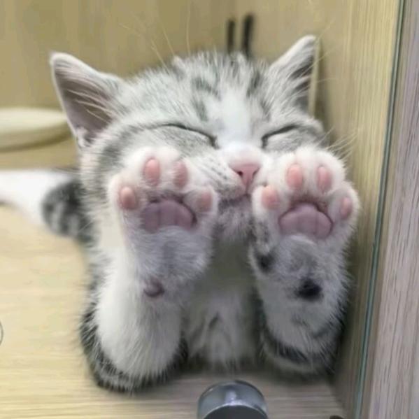 到底是想静静还是想静静