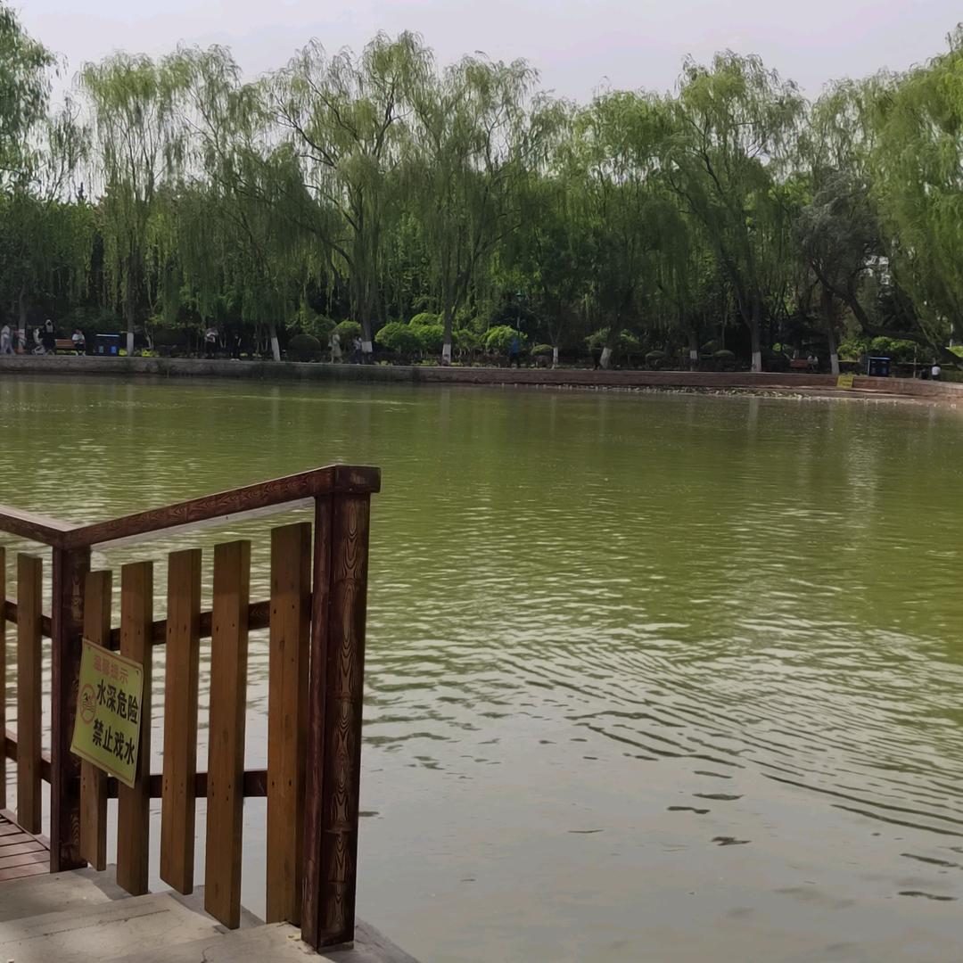 张老师带你做家政