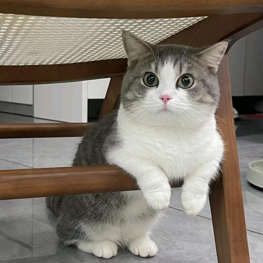 安安不爱吃饭