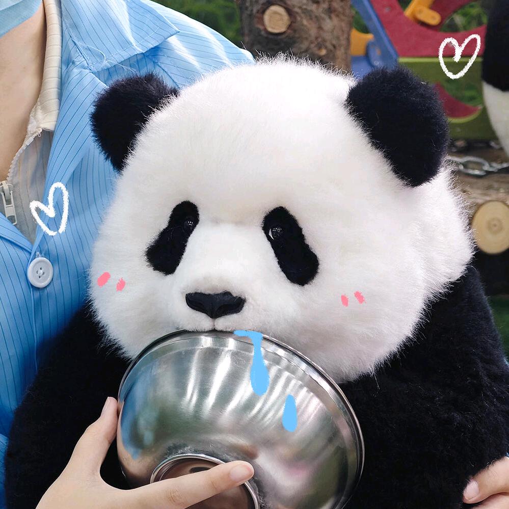 🐼的摆烂日常