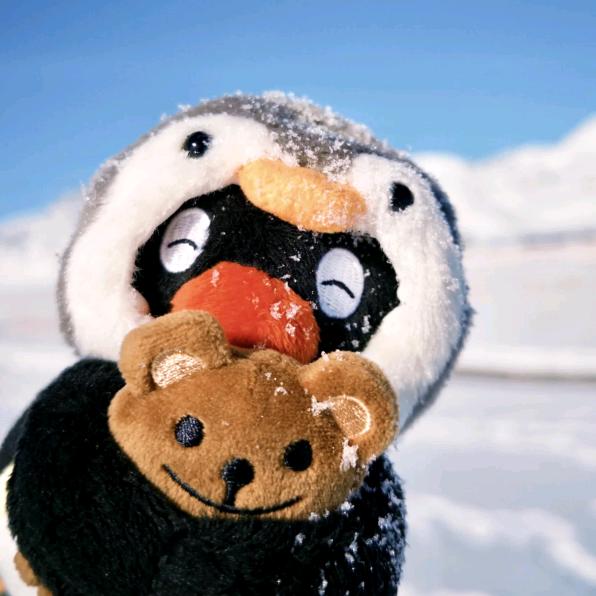 趴在桌子上数羊