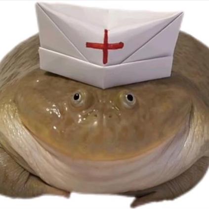 圣保罗女孩我们真的来了