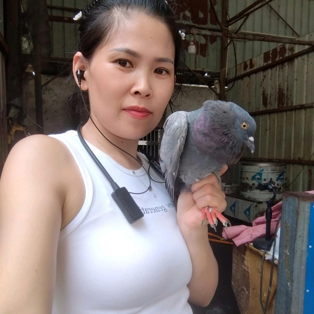 仁首鸡鸭找美美