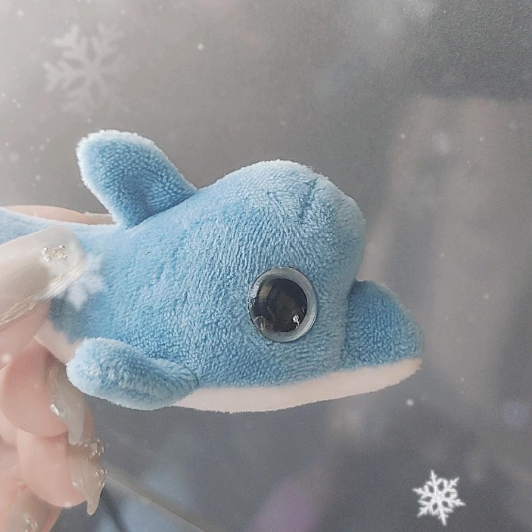 奇奇的智能好物分享