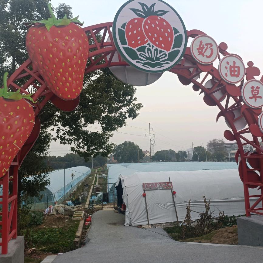 财从何处来🇨🇳家中无浪荡子