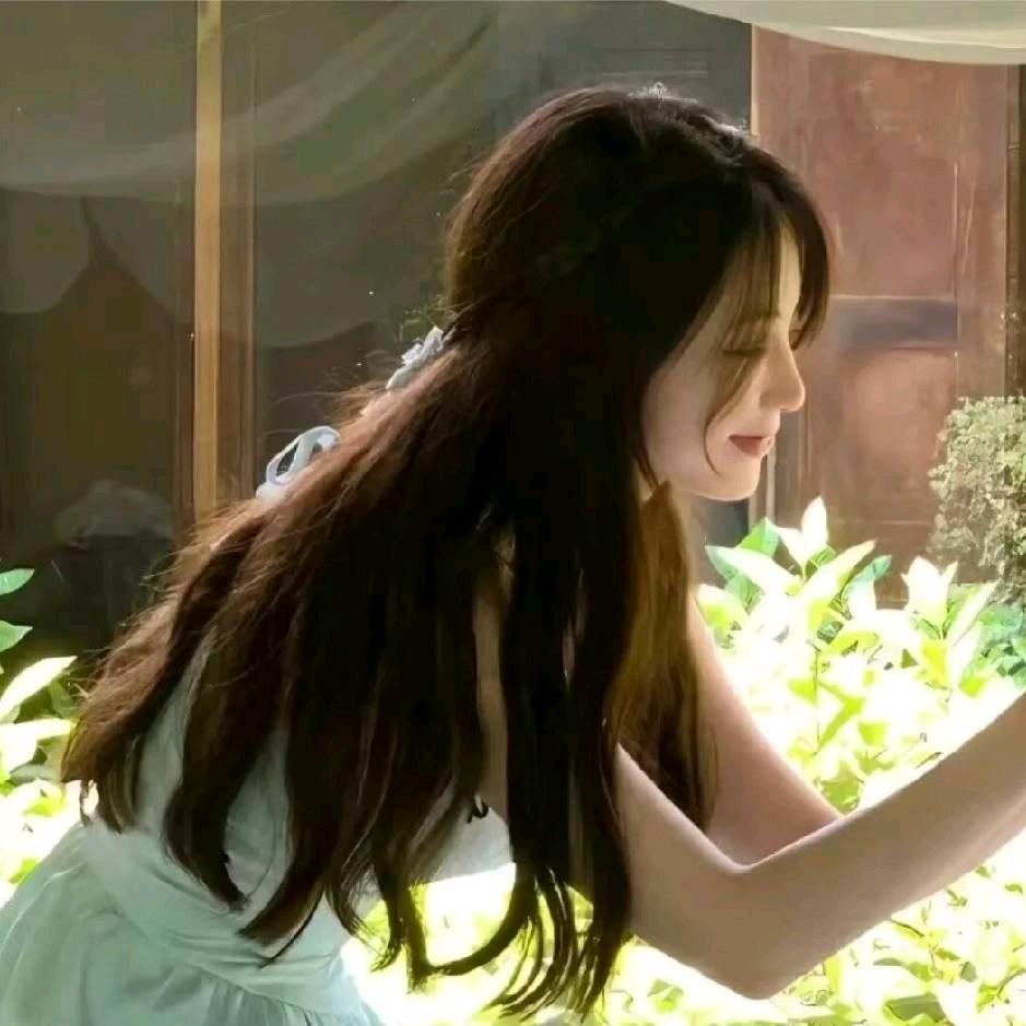 清肆.