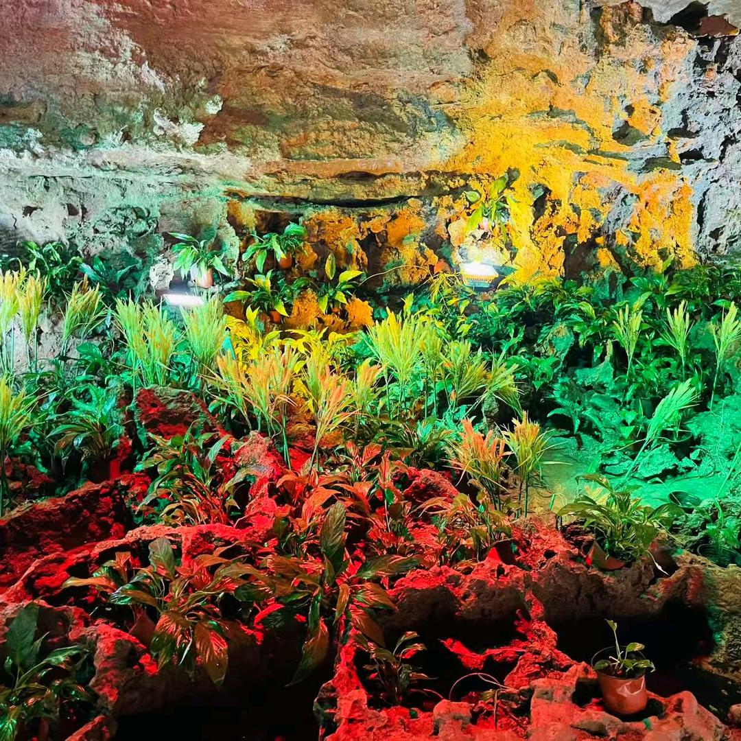 滨州萧稿教育创意屋