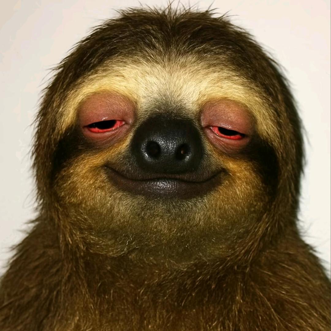 昆明小熊选好房