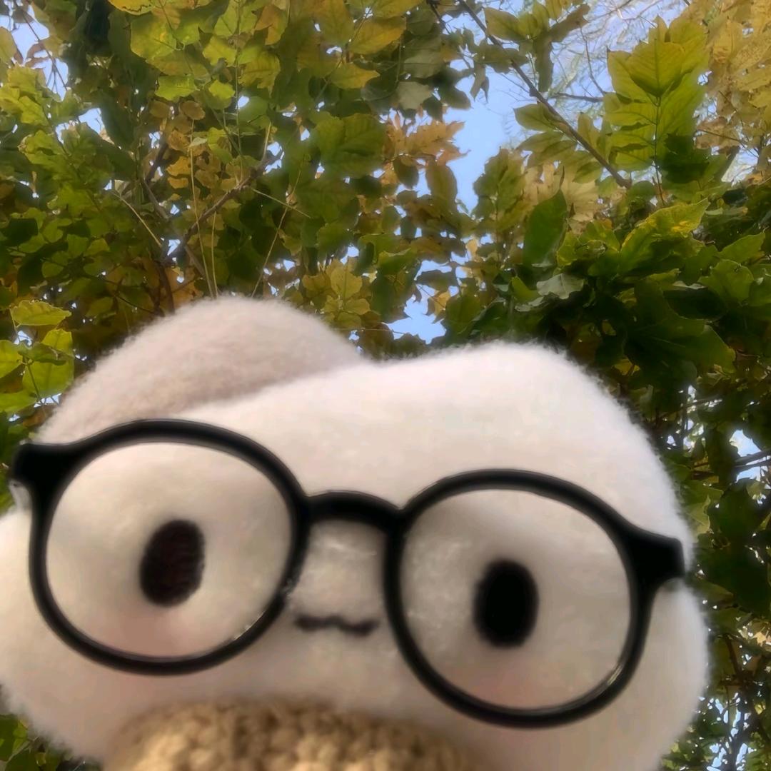 在大坝被连续踹死15次