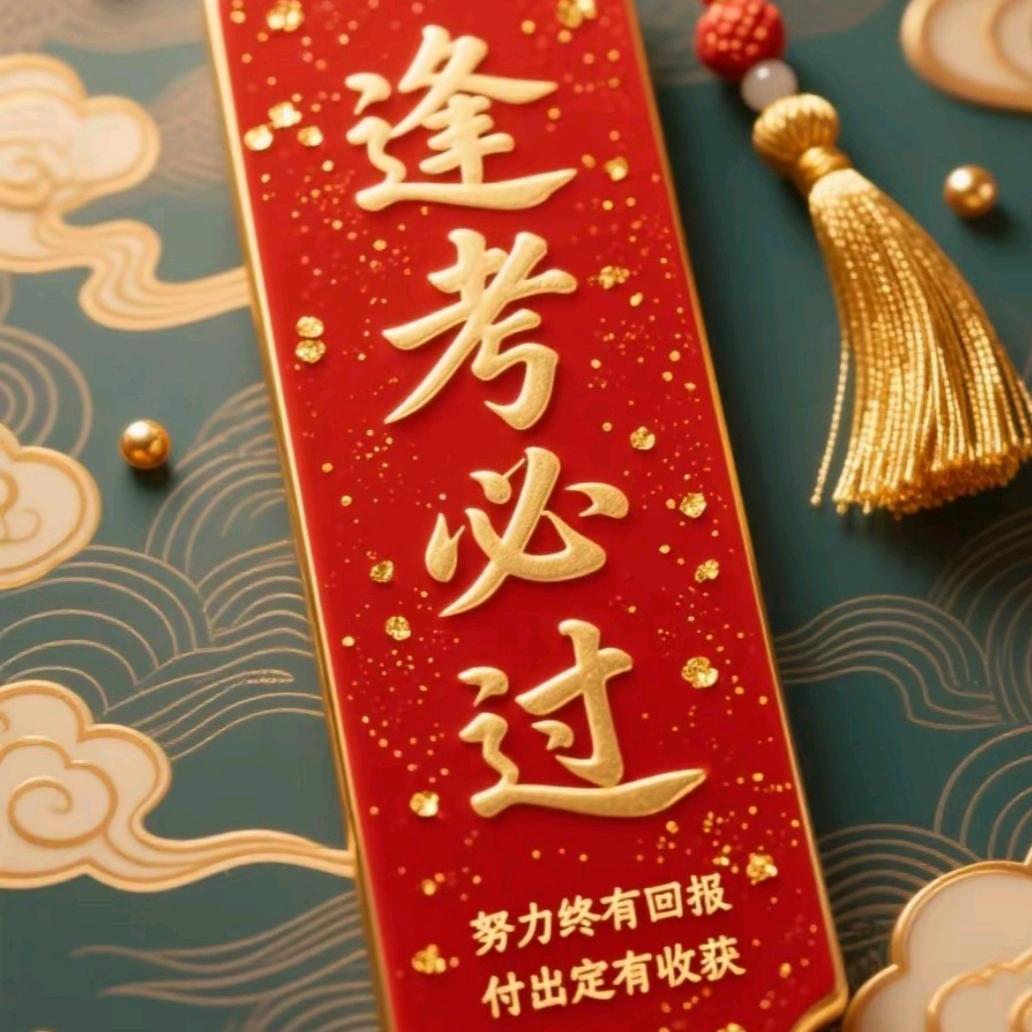 林林(驾考困难户VlP)